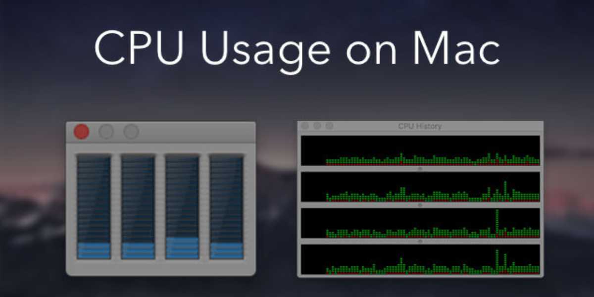 High CPU Usage