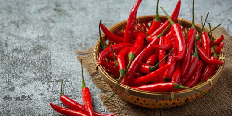 wellhealthorganic.com:red-chilli-you-should-know-about-red-chilli-uses-benefits-side-effects